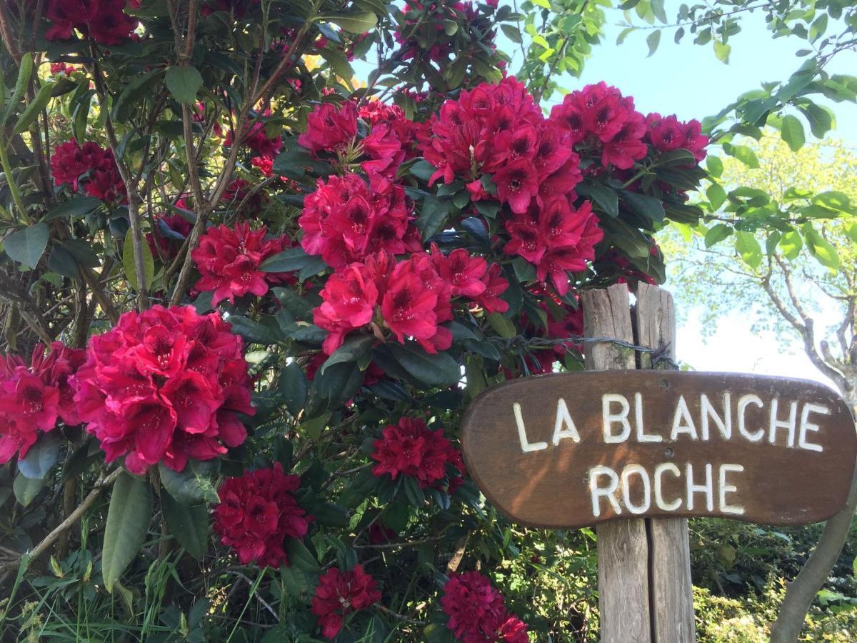La Blanche Roche Bed & Breakfast Sourdeval Eksteriør bilde